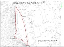 浙江丽水市遂昌县妙高街道共富大楼项目现场图片