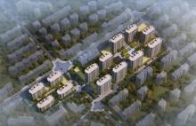 浙江杭州市大联区块（垅背）安置房工程现场图片