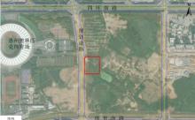 广东惠州重离子医学中心项目现场图片