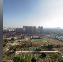 广东广州市花城街紫薇中学新建项目现场图片