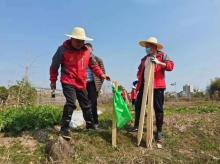 浙江永康市芝英镇雅湖小学迁建工程现场图片