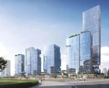 广东广州市大湾区科创走廊新光谱项目现场图片