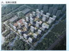 江苏南京生态科技岛四期经济适用住房及配套项目现场图片