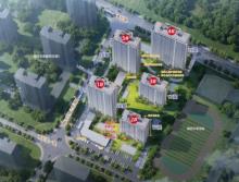 浙江杭州市杭政储出（2024）10号地块住宅项目现场图片