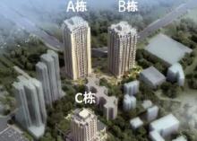 重庆市沙坪坝区雏扬国际二期项目装饰工程（C栋商业）现场图片