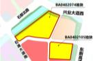 广东广州市番禺区南站商务区BA0402074、BA0402076、BA0402105地块建设项目现场图片