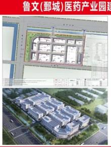 山东菏泽市鲁文（鄄城）医药产业园项目（一期）现场图片