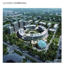 山东青岛市山东中医药大学附属医院青岛医院项目现场图片