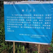 重庆市两江新区石船安置房二期及盛唐路以西(六横线至七横线)区域道路三期工程现场图片