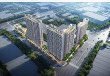 广东江门市新会区保障性安居工程住宅小区（三期）联和苑项目现场图片