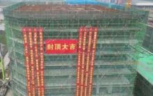 广西桂平市龙门工业区保障性租赁住房及综合配套设施项目现场图片