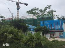 广东广州市南沙国际邮轮码头综合体（2015NJY-6地块）2号地块一标段工程现场图片