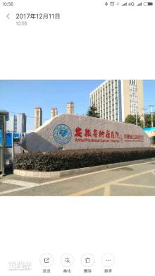 安徽省肿瘤医院（安徽省立医院西区）二期项目（安徽合肥市）现场图片