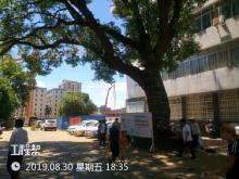 徐闻县人民医院门诊综合大楼项目（广东湛江市）现场图片