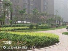 江西赣州市于都县绿苑居·长福园项目现场图片