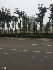 咸阳市阳光尚苑廉租住房及经济适用住房一期工程（咸阳安居房地产开发有限公司）现场图片