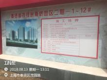 上海市奉贤科技绿洲南桥园区二三期现场图片