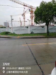 上海市奉贤区南桥新城18单元06-D-01区域地块项目(含洋房)现场图片