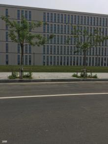 盘锦市政府街工程（锦市重点公共项目建设管理办公室）现场图片