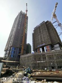 广东广州市AEC汽车城项目（含珠光AEC1816地块商业、办公楼工程）现场图片