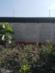 广东省人民医院南海医院(平洲医院)心血管病大楼项目（广东佛山市）现场图片