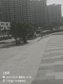 广东广州市萝岗中心城区保障性住房（二期）第四设计组团安置房及72班九年一贯制学校配套工程现场图片