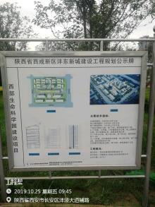 西安丝路创新发展有限公司西部生命科学园建设项目（陕西西安市）现场图片