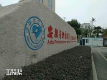 安徽省肿瘤医院（安徽省立医院西区）二期项目（安徽合肥市）现场图片