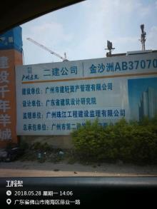 广东广州市金沙洲AB3707009地块项目现场图片