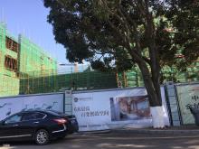 福建厦门市海峡收藏品交易中心一期(含酒店)（福建兆翔临港置业有限公司）现场图片