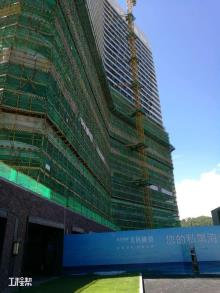 阳江市保利顺峰北洛湾项目（保利（阳江）房地产开发有限公司）现场图片