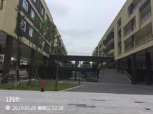重庆市巴南区巴南巴蜀小学项目现场图片