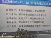 上海市奉贤区金汇镇21-02、22-01地块动迁安置房项目现场图片