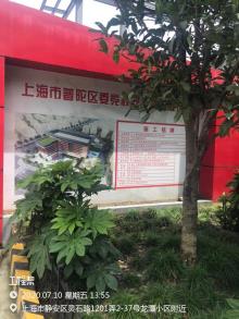 上海市普陀区区委党校改扩建工程（上海市普陀区）现场图片