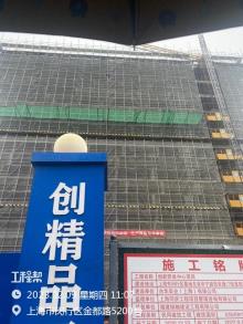 台华实业(上海)有限公司创新研发中心项目（上海市闵行区）现场图片