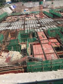 重庆市南坪西部新区开发建设管理委员会南岸区国家文物保护综合服务设施项目现场图片
