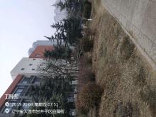 辽宁大连市高新区康元生物医学材料转化中心项目现场图片