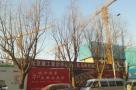 北京市通州区马驹桥镇C01地块B1商业用地项目现场图片