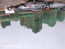 上海市均瑶（集团）有限公司康桥东路独立式商业用房建设项目（上海市浦东新区）现场图片