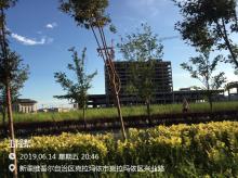 克拉玛依市委党校工程（克拉玛依市工程建设管理局）现场图片