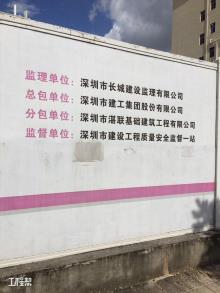 广东深圳市坂田南杨美村布龙路保障性住房项目（西地块）--星级暂未定现场图片