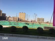 户县中医医院整体搬迁暨门诊综合楼建设项目（陕西西安市）现场图片