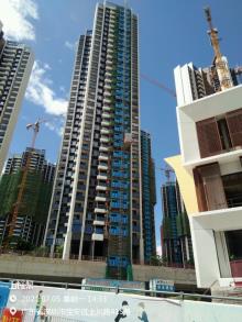 广东深圳市尖岗山壹号花园项目现场图片