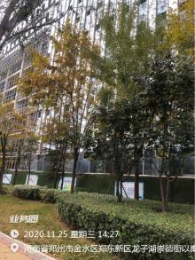 河南省科学技术厅国家技术转移郑州中心工程（河南郑州市）现场图片