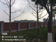 陕西咸阳市空港新城临空产业园项目（二期）现场图片
