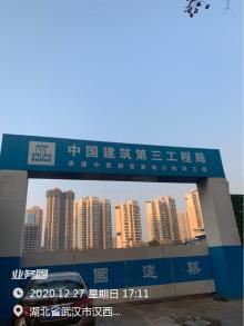 湖北武汉市中建御景星城D地块住宅项目现场图片