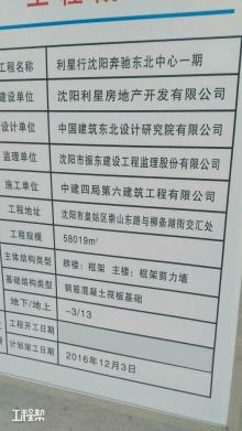 沈阳利星房地产开发有限公司利星行沈阳奔驰东北中心工程现场图片