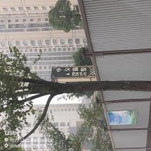 重庆市巴南区中交锦悦五期（Q09-1／02地块）现场图片