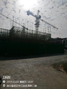 湖北武汉市国家生物产业创新基地D1-3A项目(一期)及F3F4栋装修及配套工程现场图片
