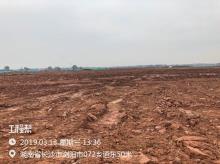 华域视觉科技（长沙）有限公司生产基地项目（湖南浏阳市）现场图片